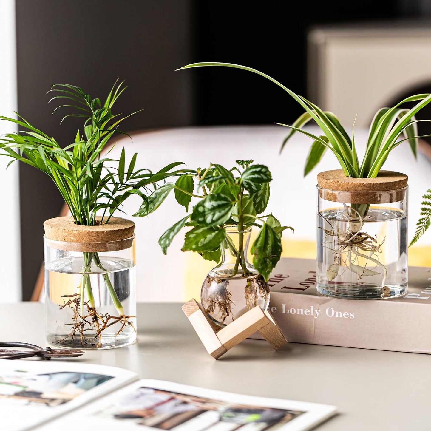 JGKYLDZ Plant Propagation Station, 2 Style Glass Planter Terrarium Set for Hydroponic Plants | Home Office Tabletop Decor, Gardening Gifts for Women, Mom, Plant Lovers (8)