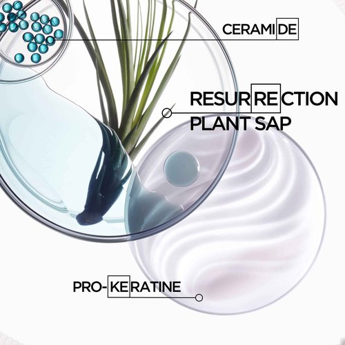 Kerastase Resistance Force Architecte Shampoo & Ciment Anti-Usure Conditioner Set For Weak and Damaged Hair - Repairs Damaged Ends With Pro-Keratine Complex