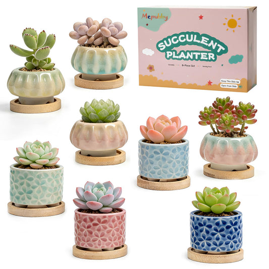 8 Pcs Succulent Pots with Ice Crack Glaze, 2 Shapes & 8 Colors Ceramic Succulent Planters with Drainage Holes & Bamboo Saucers, Indoor Plant Pots for Home Garden，Desk Decor, Office Decor, Gift Idea