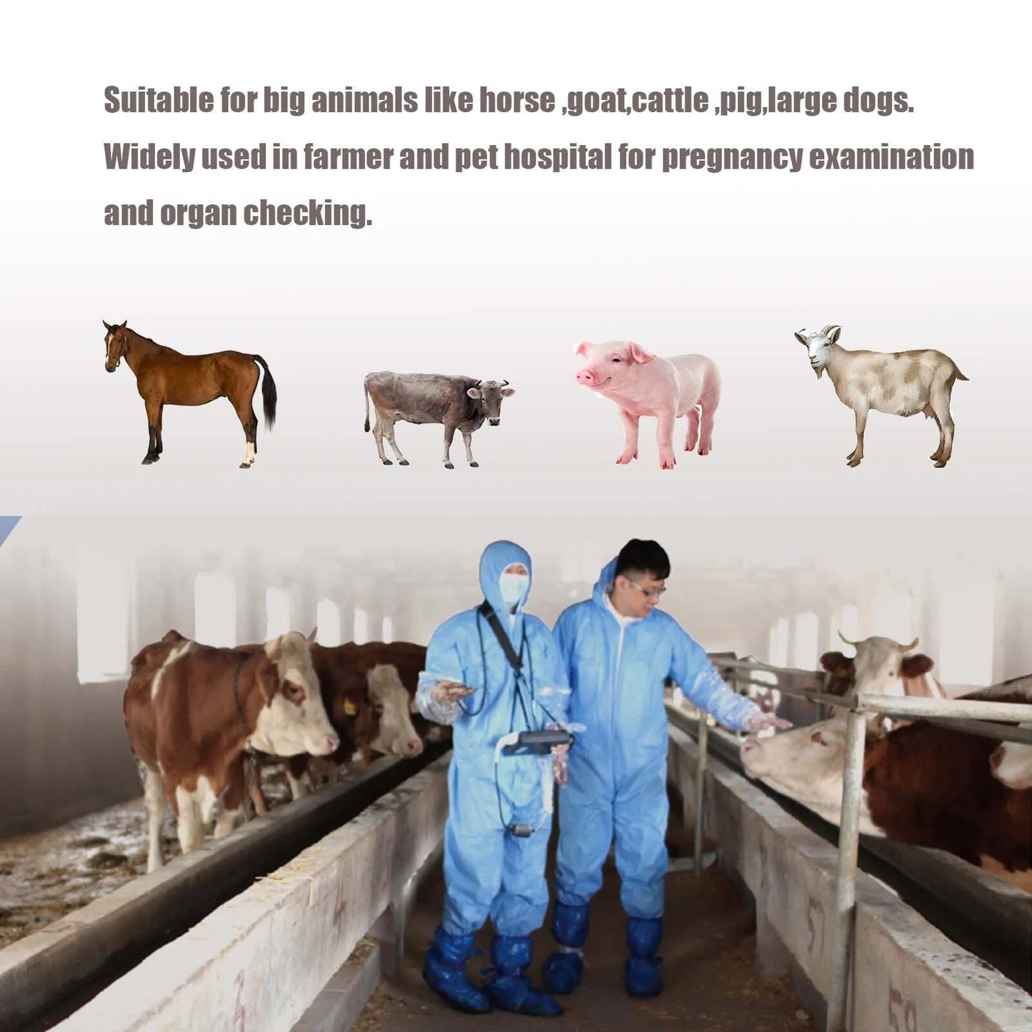 DAWEI Upgraded 3.5MHz Rectal & Convex Dual-Use Probe Veterinary Ultrasound Machine for Cattle and Horse, Portable Handheld Vet Scanner for Pregnancy and Reproduction Check on Farm