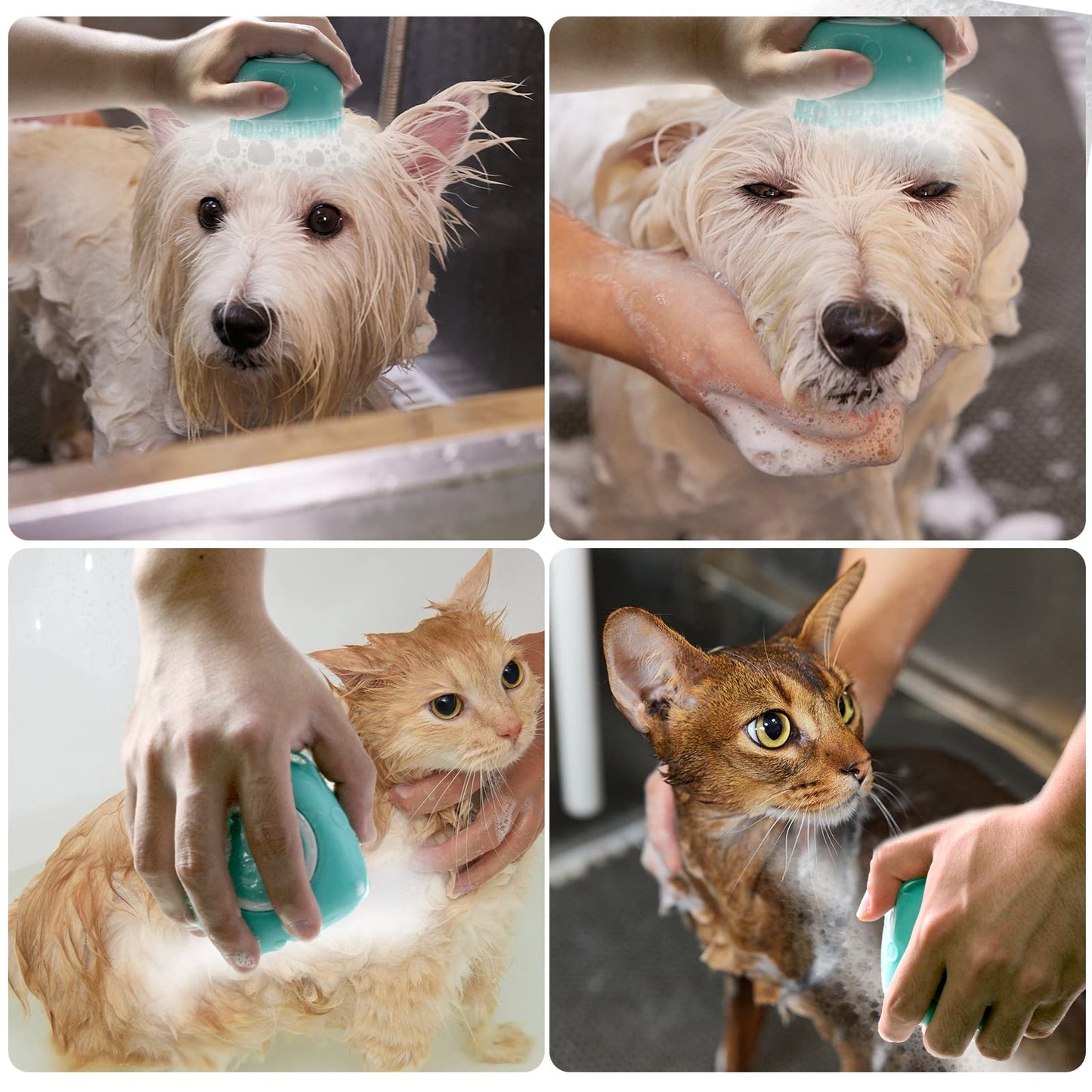 Woleigiao Pet Bath Brush Dog Baths Brush Shampoo Dispenser Soft Silicone Dog Bathing Brushes Dogs Shampoo Brushes scrubbers for Cats and Dogs Shower Brush Grooming (Blue)