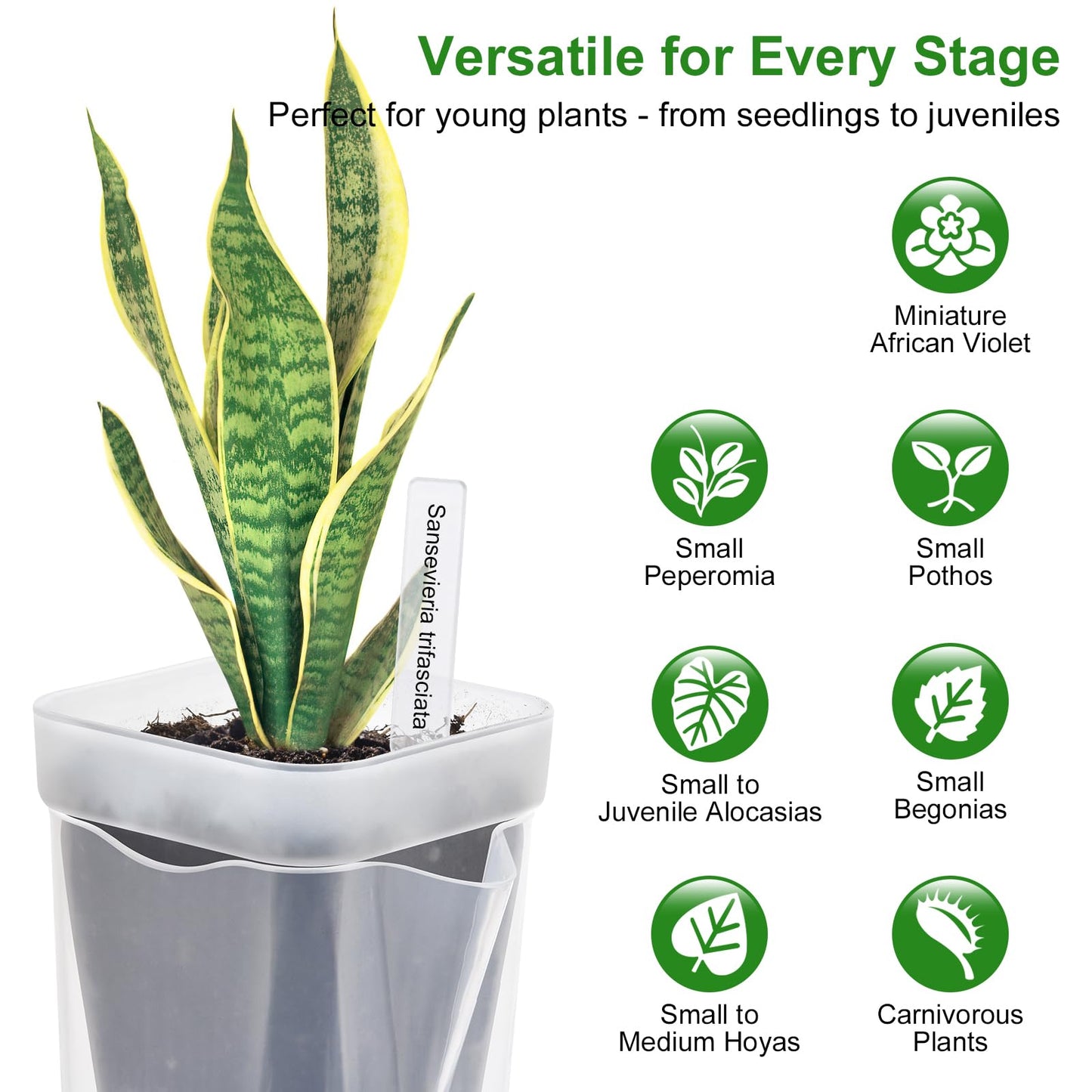 12PCS Mini Self Watering Pots for Indoor Plants - 2" Small Clear Planter with Wicks & Water Level Indicator, Plastic Automatic-Watering Pot for African Violet, Succulent, Alocasia, Hoya, Plant Label