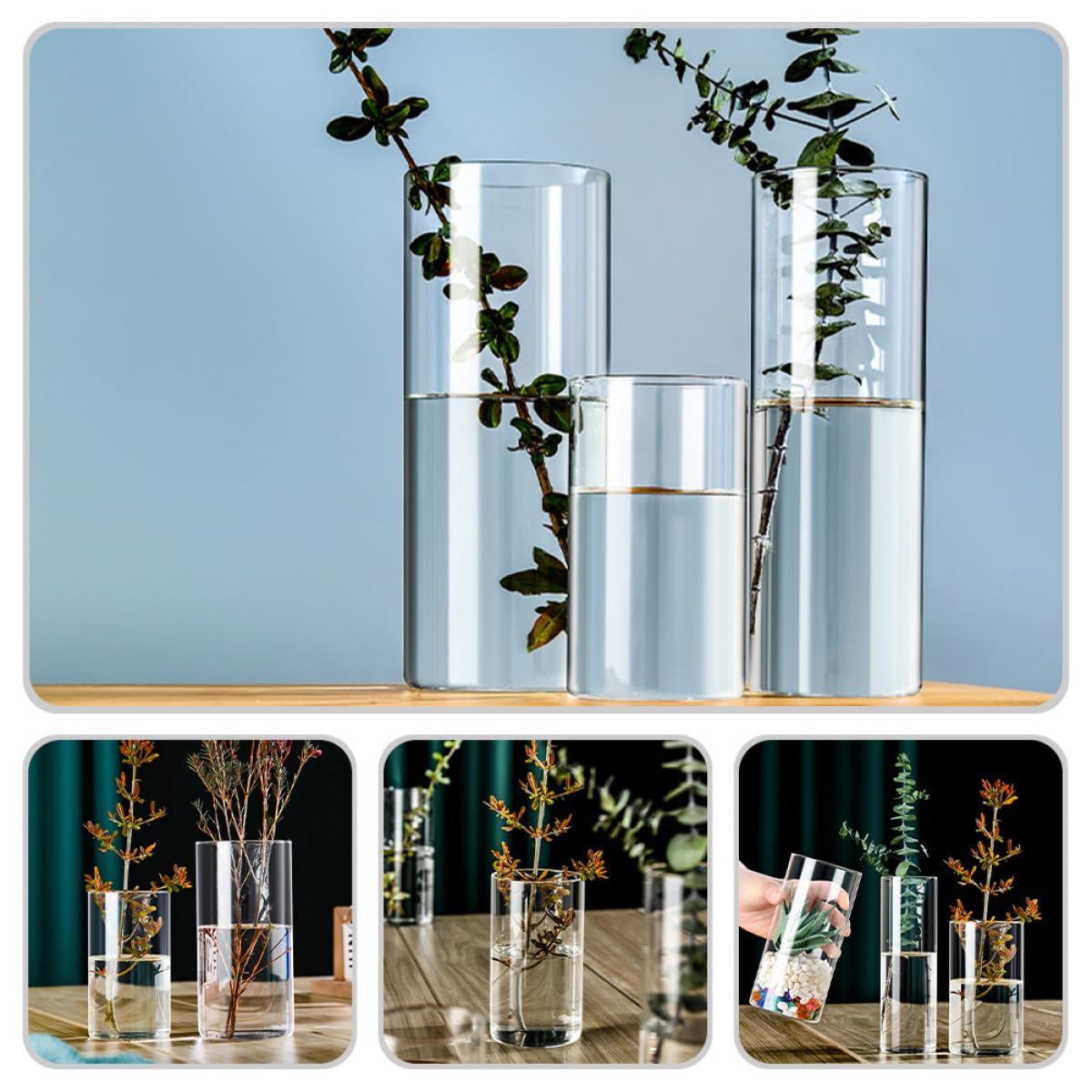 NUOBESTY Glass Flower Vase Hydroponic Cylinder Vase 10cm X 25cm High Borosilicate Glass Terrarium for Indoor Plant Display and Home Décor