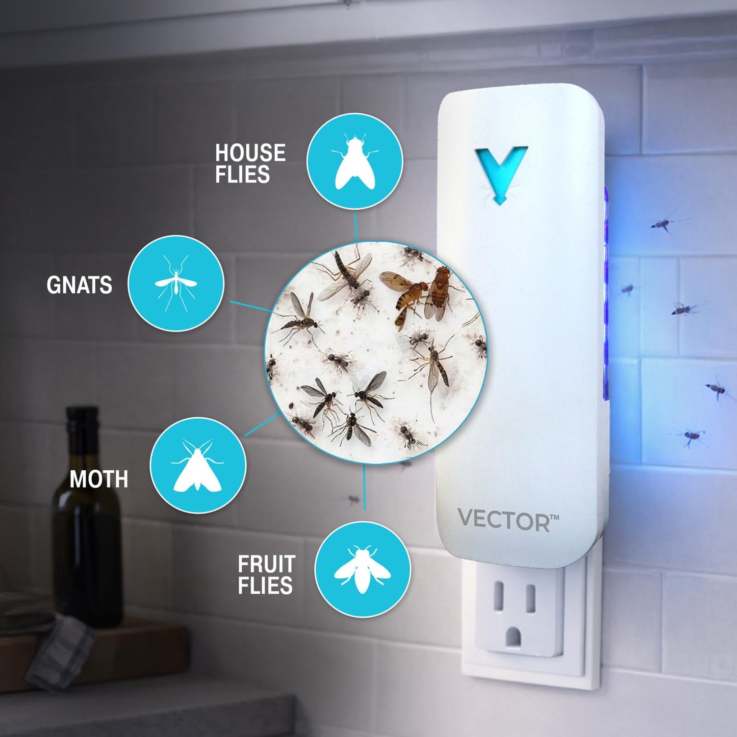 Catchmaster Vector 9 UV Light Plug in Flying Insect Trap - Silent Indoor Bug Catcher for House & Fruit Flies, Gnats & Moths - Mess-Free Easy Setup & Cleanup - with 12 Glue Trap Refills, Year Supply