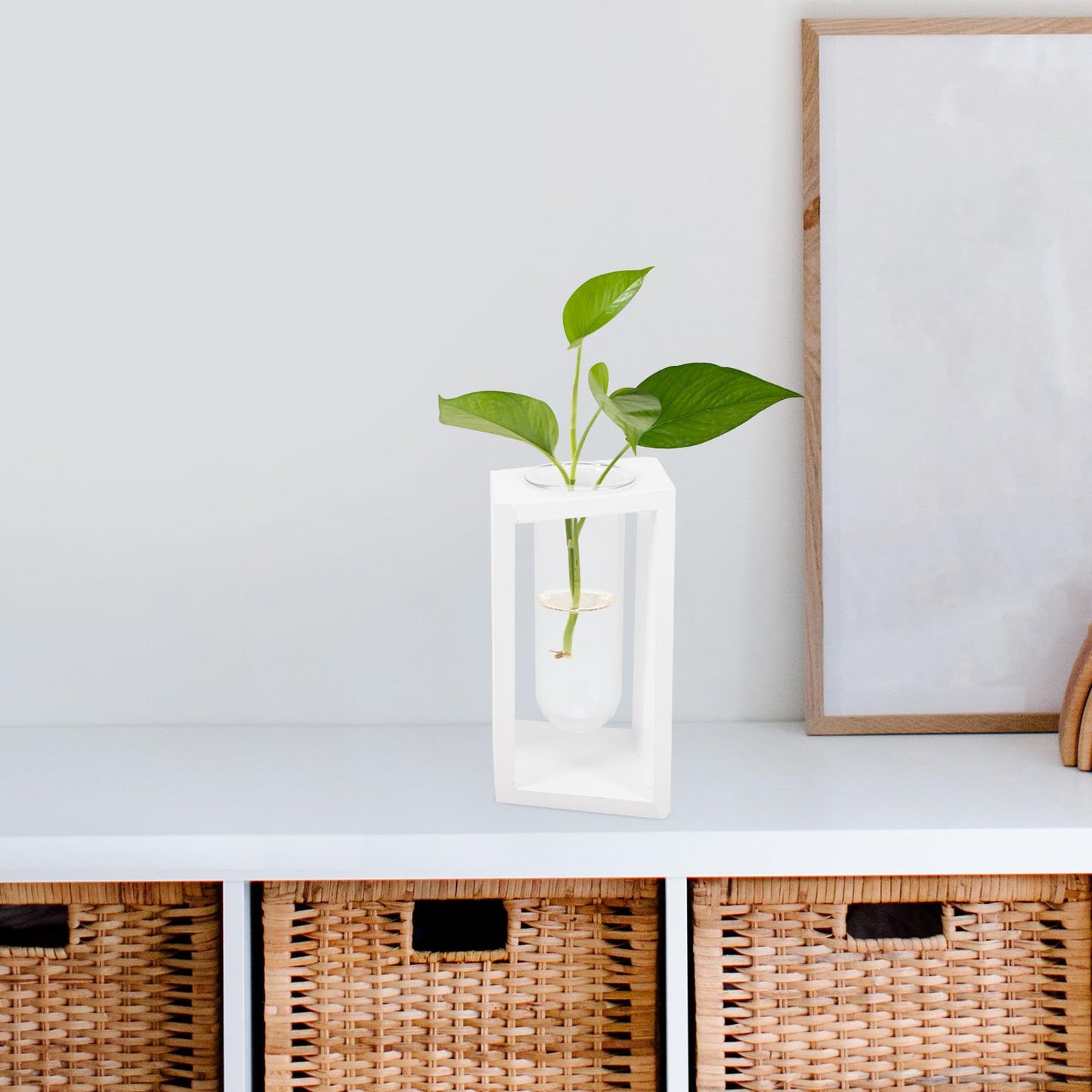 BESPORTBLE Hydroponic Plant Vase with White Wooden Rack, Glass Test Tube Propagation Station for Indoor Wall Garden, Small Terrarium Kit for Home and Office Décor