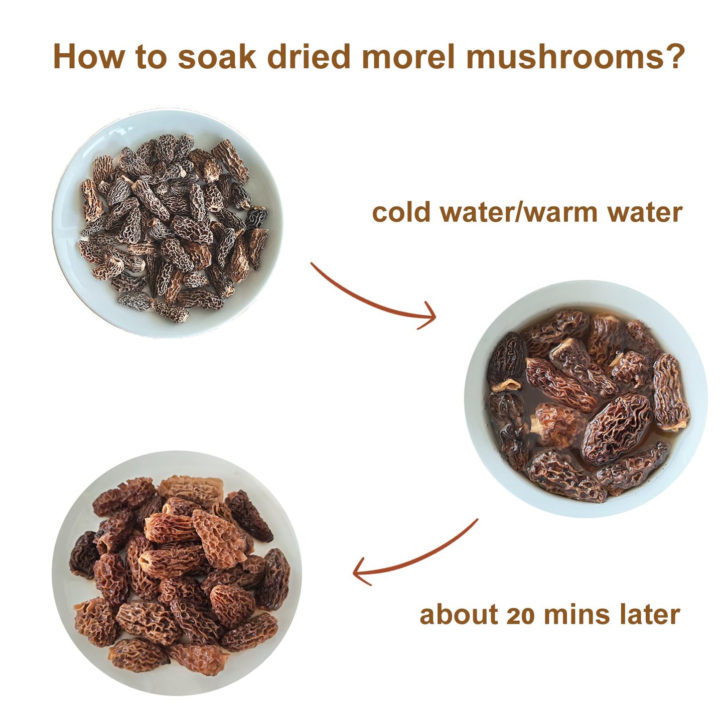 VIGOROUS MOUNTAINS Premium Dried Wild Morel Mushrooms 2oz, Wild Harvested, Earthy Flavor & Rich Umami-Perfect for Gourmet Cooking, Soups, Pasta & Risotto (56.7g)