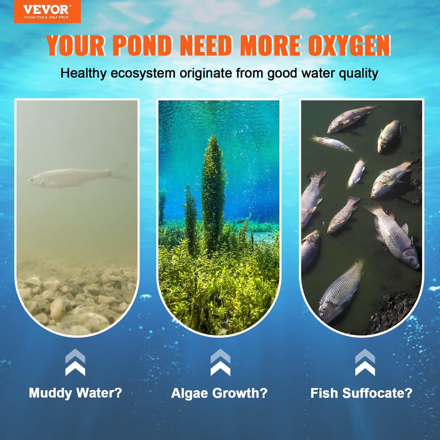 VEVOR Pond Aerator, 550W Power, 5.2CFM for Up to 1 Acre 50' Lake, Aeration Kit Includes 3/4 HP Compressor & 100' Weighted Tubing & Diffuser, Air Compressor for Deep Water Oxygen Circulation