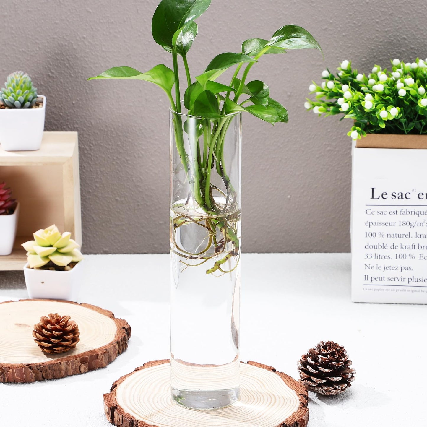 Angoily Wall Mounted Flower Vase Glass Tube Propagation Station 2pcs Hanging Terrarium Indoor Planter for Hydroponic Plants Modern Home Décor