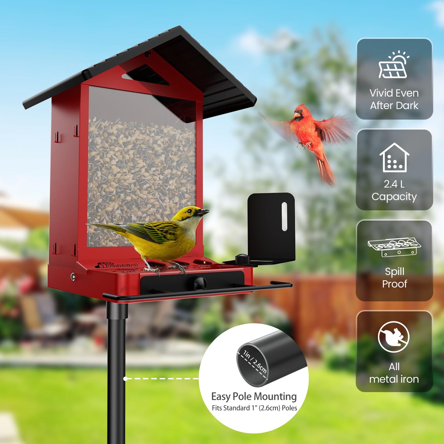 Richbird Smart Bird Feeder with Camera, 2.5K Ultra-HD Live Stream Bird House Camera, Free AI Identify Bird Species, Solar Powered Bird Feeder with 2.4L Large Capacity, Ideal Gift for Bird Lovers