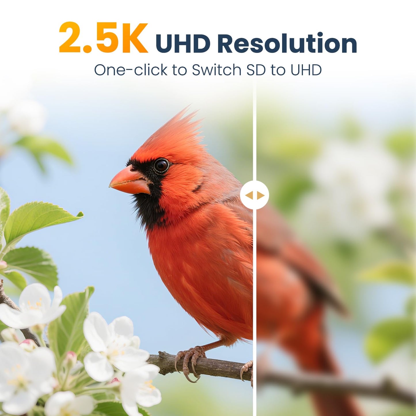 Smart Metal Bird Feeder with Camera, 2.5K UHD AI Identification, Wireless Solar Powered Outdoor for Garden Birding, Real-time Videos& Pictures, Premium Present