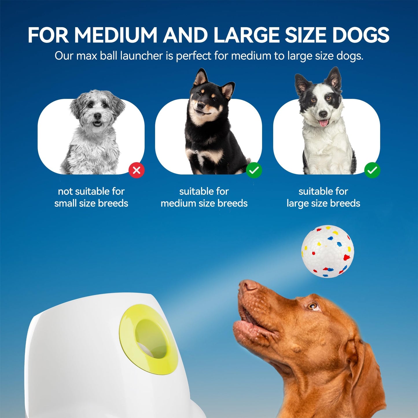 ALL FOR PAWS Automatic Ball Launcher for Dogs, Interactive Puppy Pet Balls Outdoor Thrower for Medium to Large Dogs and six 2.5-inch Tennis Balls Bundle