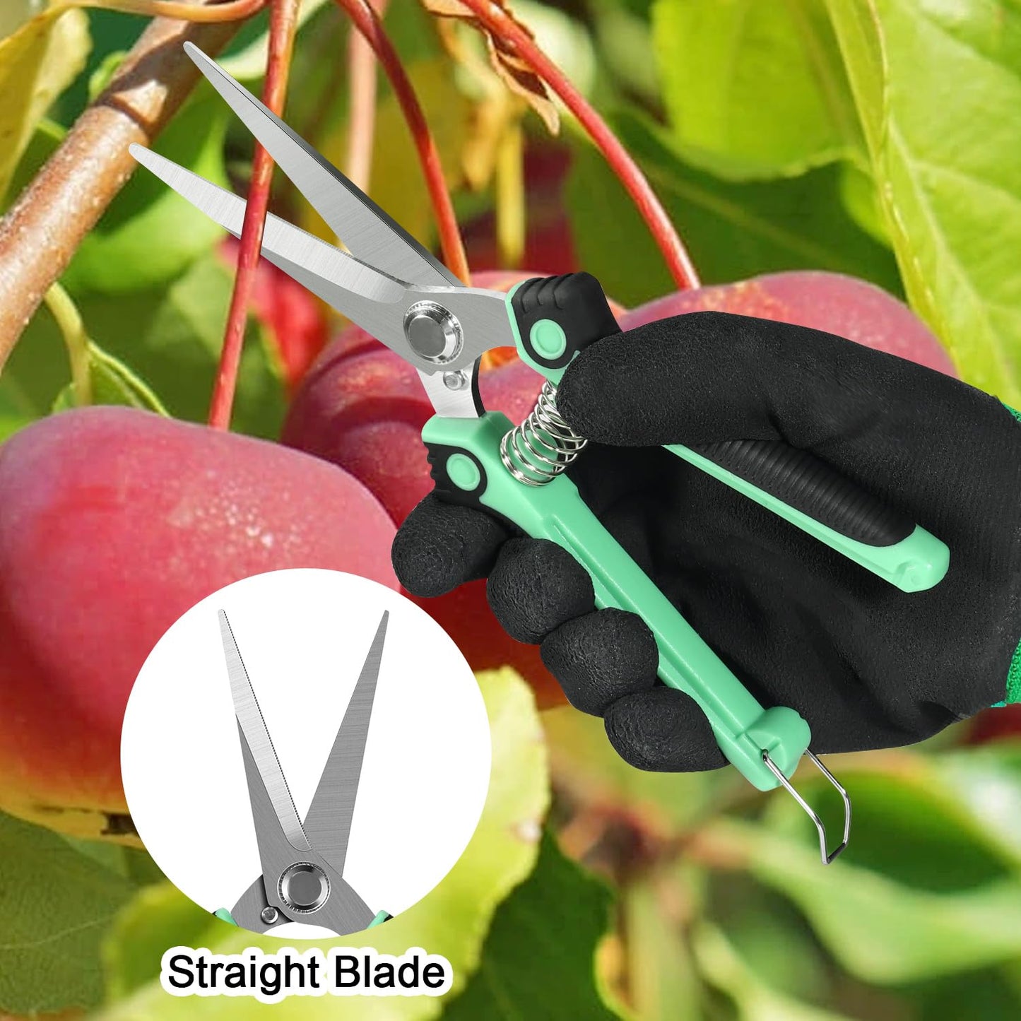 4 Pack Garden Shears Scissors,Pruning Shears, pruning shears for gardening Stainless Steel Blades, Gardening Clippers Hand Pruner With a Gardening Gloves((Red Yellow Blue Orange)