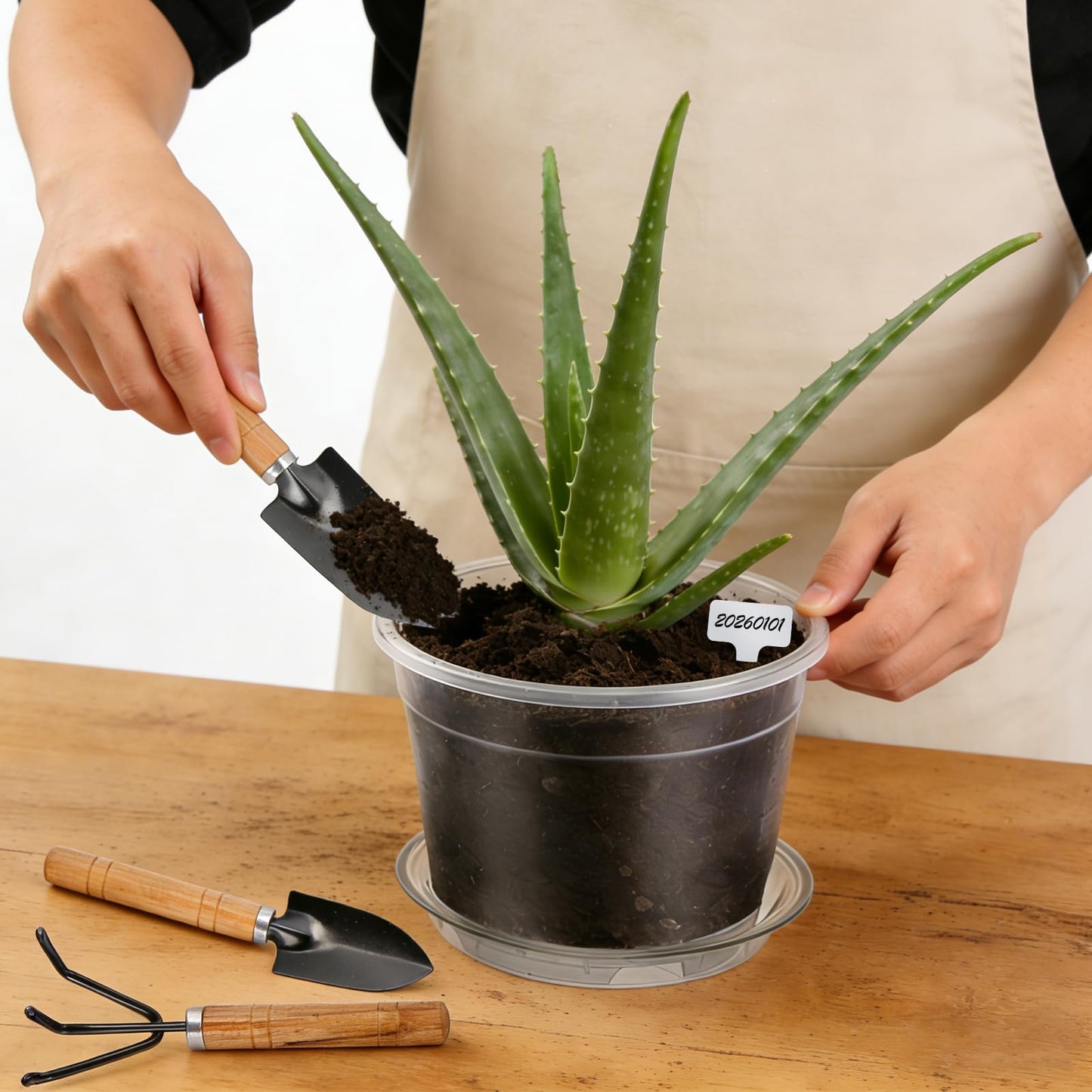 15 Packs Clear Nursery Pots with Drainage for Plants,6.8/6.7/6/5/4.5 Inch High Transparency Plastic Plant Pot Seedling Planter with 3 Decor Planters and Gardening Tools,Reinforced and High Hardness