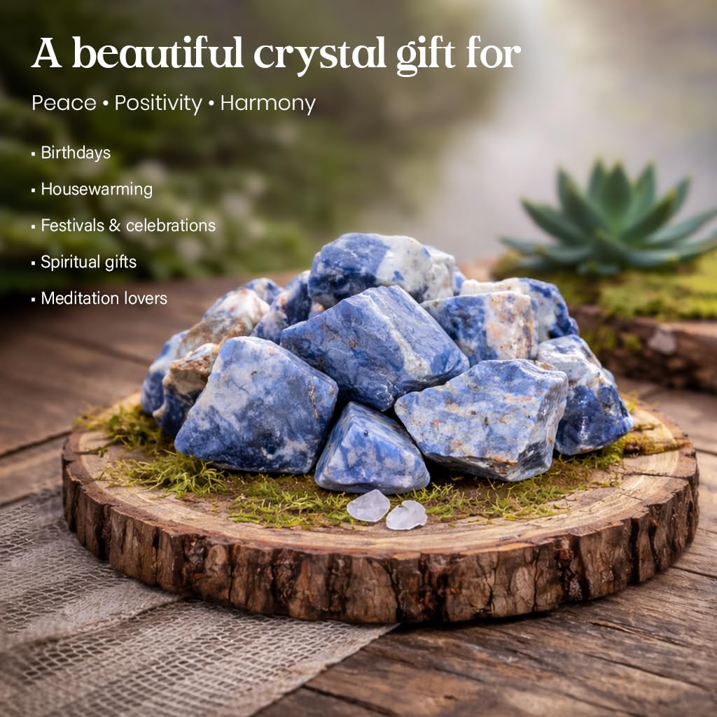 Crocon® 1LB Sodalite Rough Bulk Rocks Natural Stone Spiritual Gifts Raw Gemstone Crystals and Stones Tumbling Cabbing Polishing Gem Mining Chakra Balancing Reiki Healing Good Luck Home Office Décor