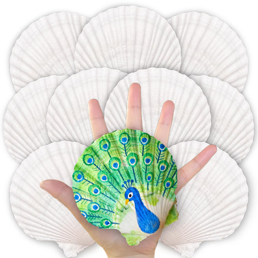 20PCS Large Scallop Shells for Crafts, 4-5 Inch Natural Sea Shells for Decorating, White Seashells Bulk for DIY Crafting, Painting, Baking, Ocean Themed Party Supplies & Decorations