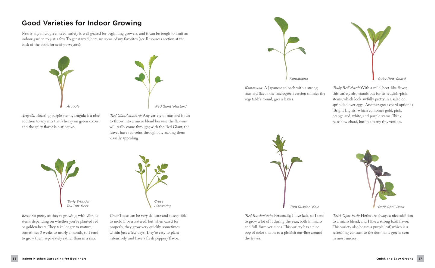Indoor Kitchen Gardening for Beginners: Turn Your Home Into a Year-round Vegetable Garden - Microgreens - Sprouts - Herbs - Potatoes - Tomatoes - Peppers & More