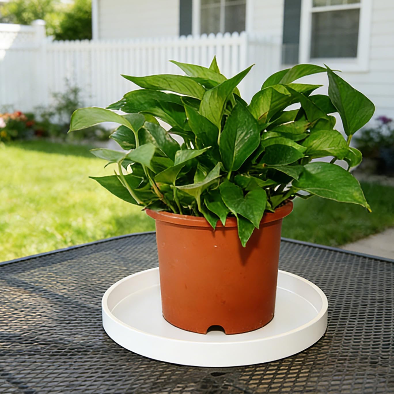 Afrine 1 Pack 12 inch Plant Saucer Drip Tray, Heavy Sturdy Plastic Planter Flower Pot Drainage Tray Plate Saucers for Indoor Outdoor Garden, Plant Water Drip Trays for pots Base (12", Creamy White)