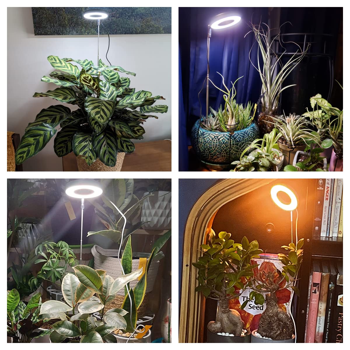 Aokrean Grow Lights for Indoor Plants, 48 LEDs Full Spectrum Plant Light for Indoor Plants, Height Adjustable Growing Lamp with Base, 3 Optional Spectrums, Auto Timer 3/9/12Hrs, 10 Brightness, 2 Pack