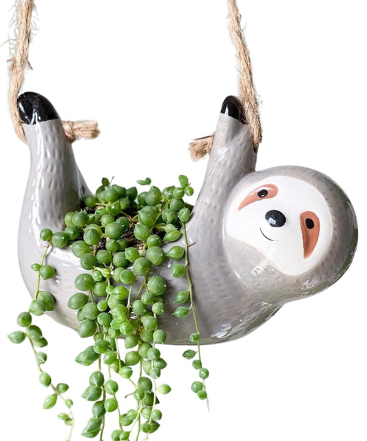 AIPOGOOIN Sloth Hanging Planters for Indoor Outdoor Plants Cute Succulent Pots Ceramic Plant Holder Gifts for Plant Lovers Women Gardeners Mom Gardening Gifts