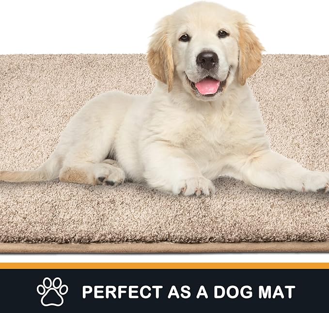 PURRUGS Dirt Trapping Door Mat 48" x 48", Non-Slip Machine Washable Entryway Rug, Dog Doormat, Indoor Front Door Mat, Super Absorbent Entry Rug for Muddy Shoes & Paws, Taupe