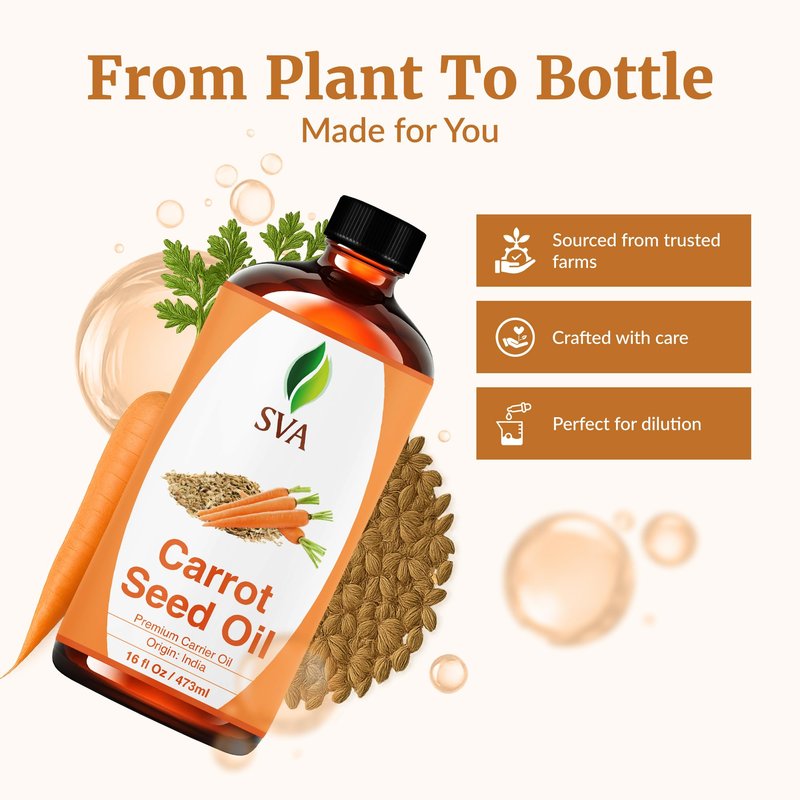 SVA Carrot Seed Oil - 16 Fl Oz – 100% Natural Cold Pressed Carrot Oil - for Face, Skin Care, Hair Care, Scalp Massage & Body Massage – Carrier Oil