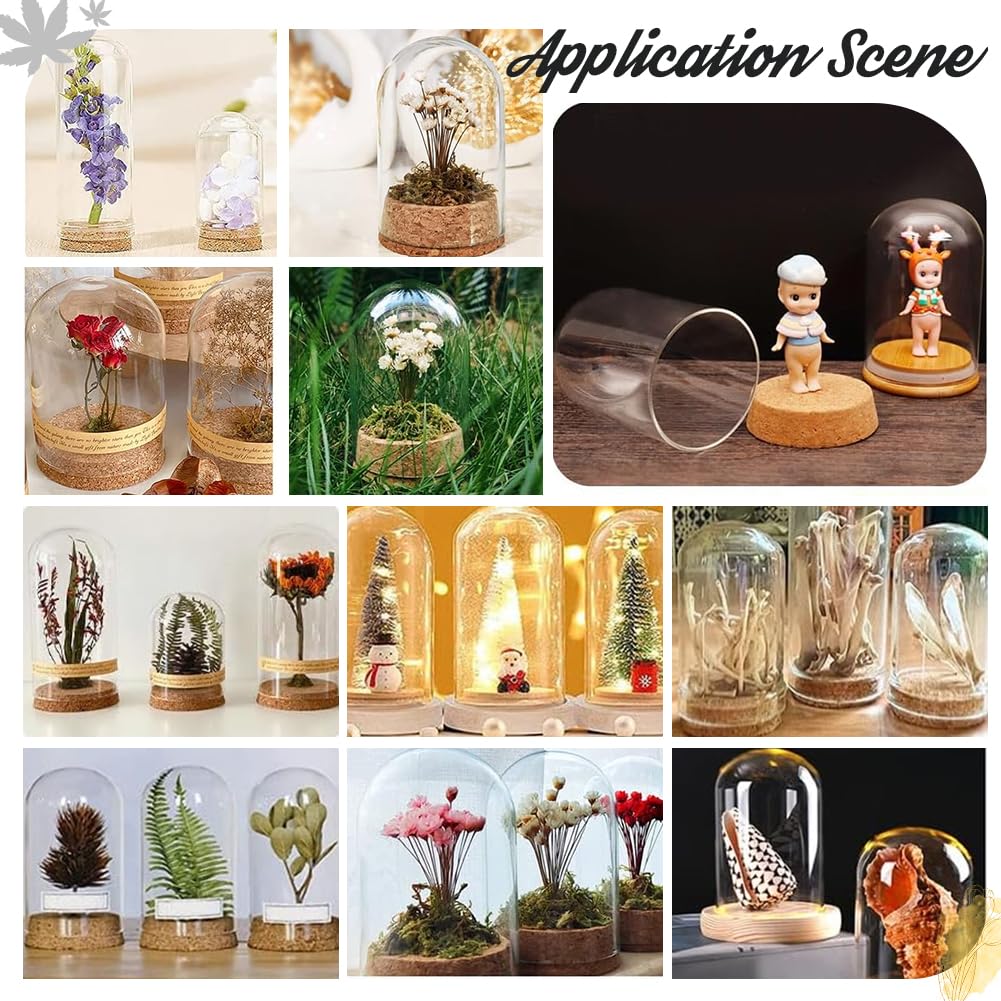 PandaHall 4pcs Glass Display Dome Cloche Bell Jar with Cork Small Glass Bottle Dome Decorative Jar Cloche Display Case for Flower Storage Home Christmas Party Favor Decoration 2.3x3.9inch