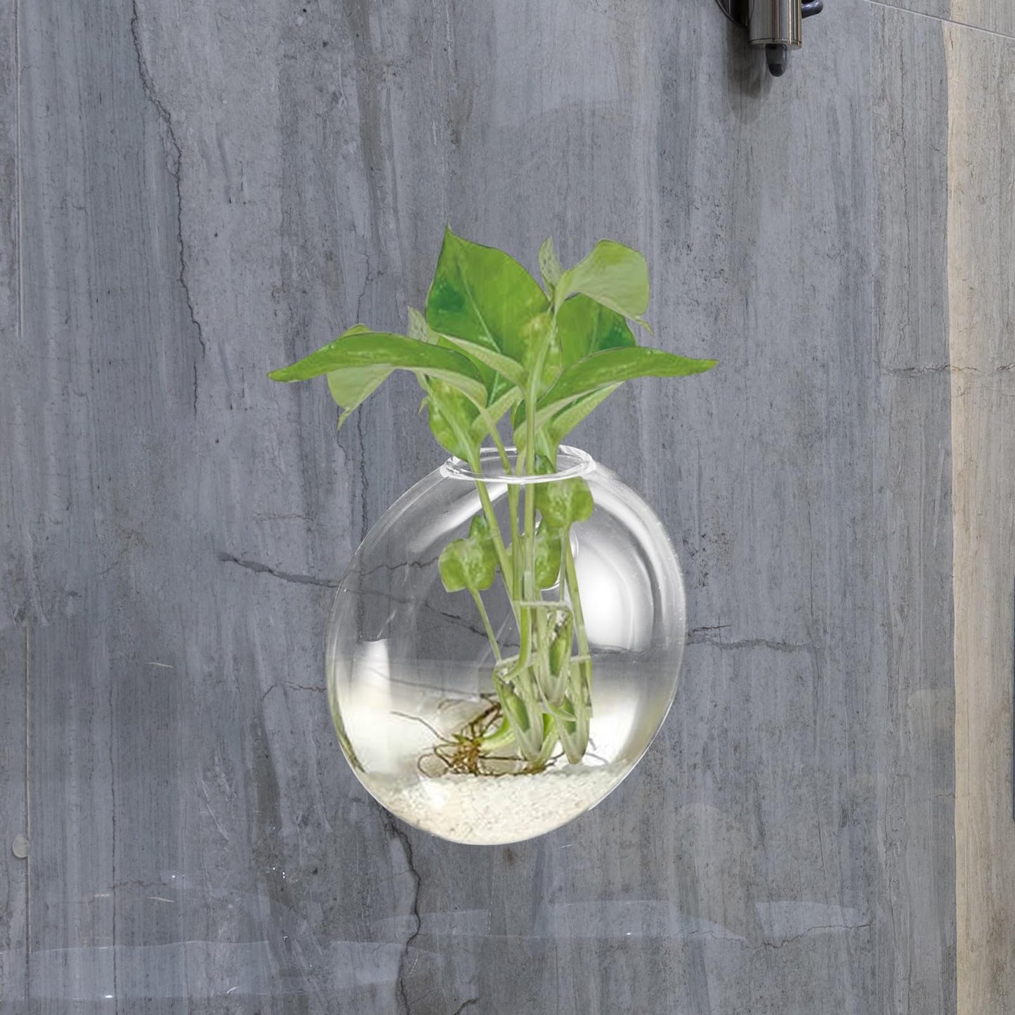 NUOBESTY Wall Mounted Glass Planter Vase for Hydroponic Plants, Small Terrarium Pot for Air Plant Propagation and Home Décor, Single Hanging Glass Flower Vase