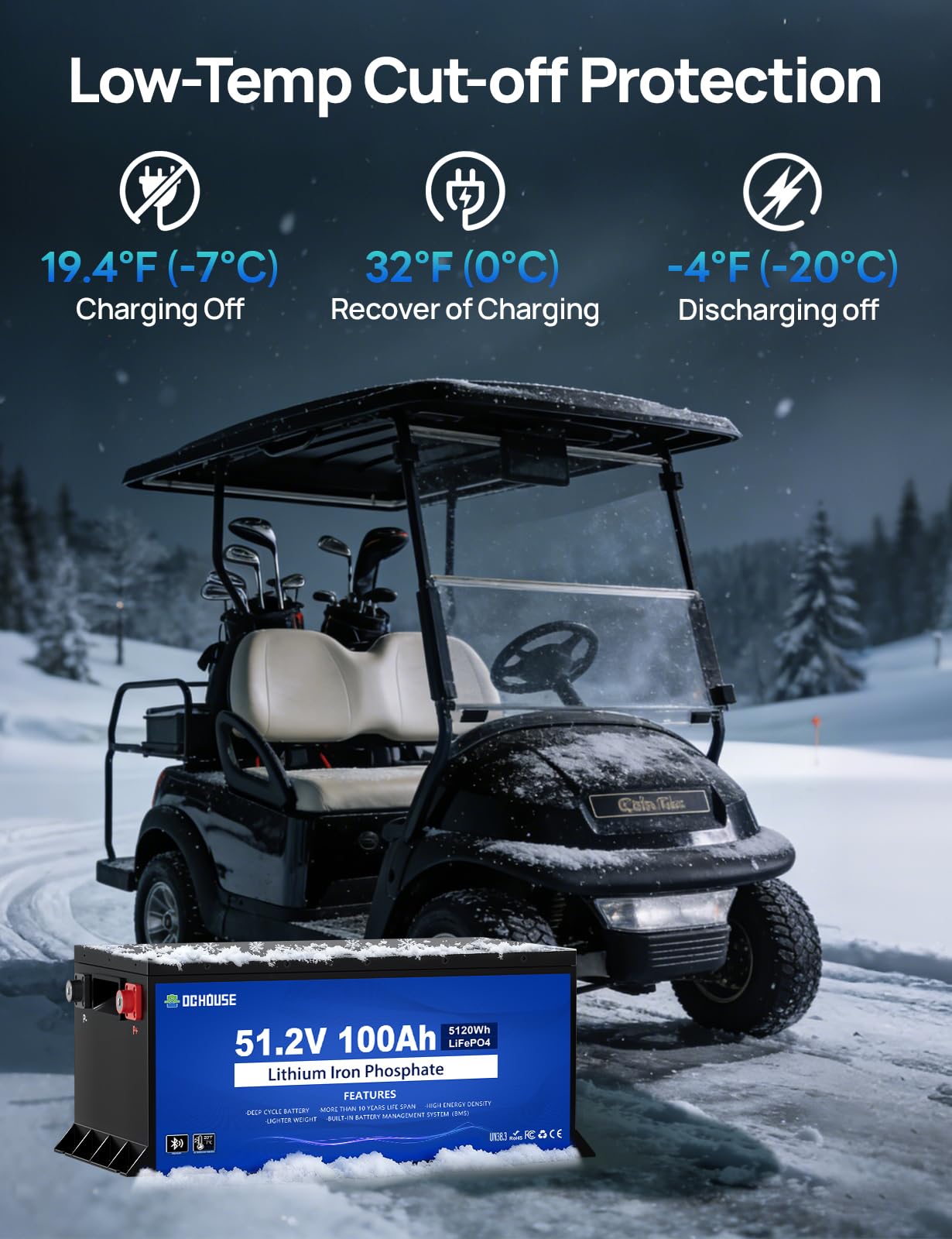 DC HOUSE Metal Case 48V 100Ah Pro Lithium Golf Cart Battery, 200A BMS Lifepo4 Battery with 48V 18A Charger, Bluetooth Mobile APP & LCD Monitor, Peak Current 700A