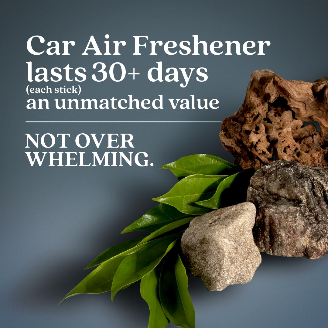Enviroscent Non-Toxic* Car Air Freshener Auto Stix® - Fragrance Lasts Up to 180 Days - Includes Auto Stix® Diffusers & Elastic Loops - Mother’s Day Gift for Mom - Coastal Storm & Teakwood (Pack of 3)