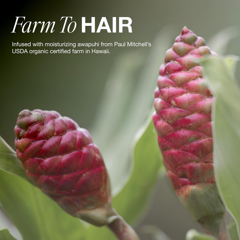 Paul Mitchell Awapuhi Shampoo, Balances Moisture + Adds Shine, For All Hair Types, Especially Fine + Static-Prone Hair, 2.5 fl. oz.