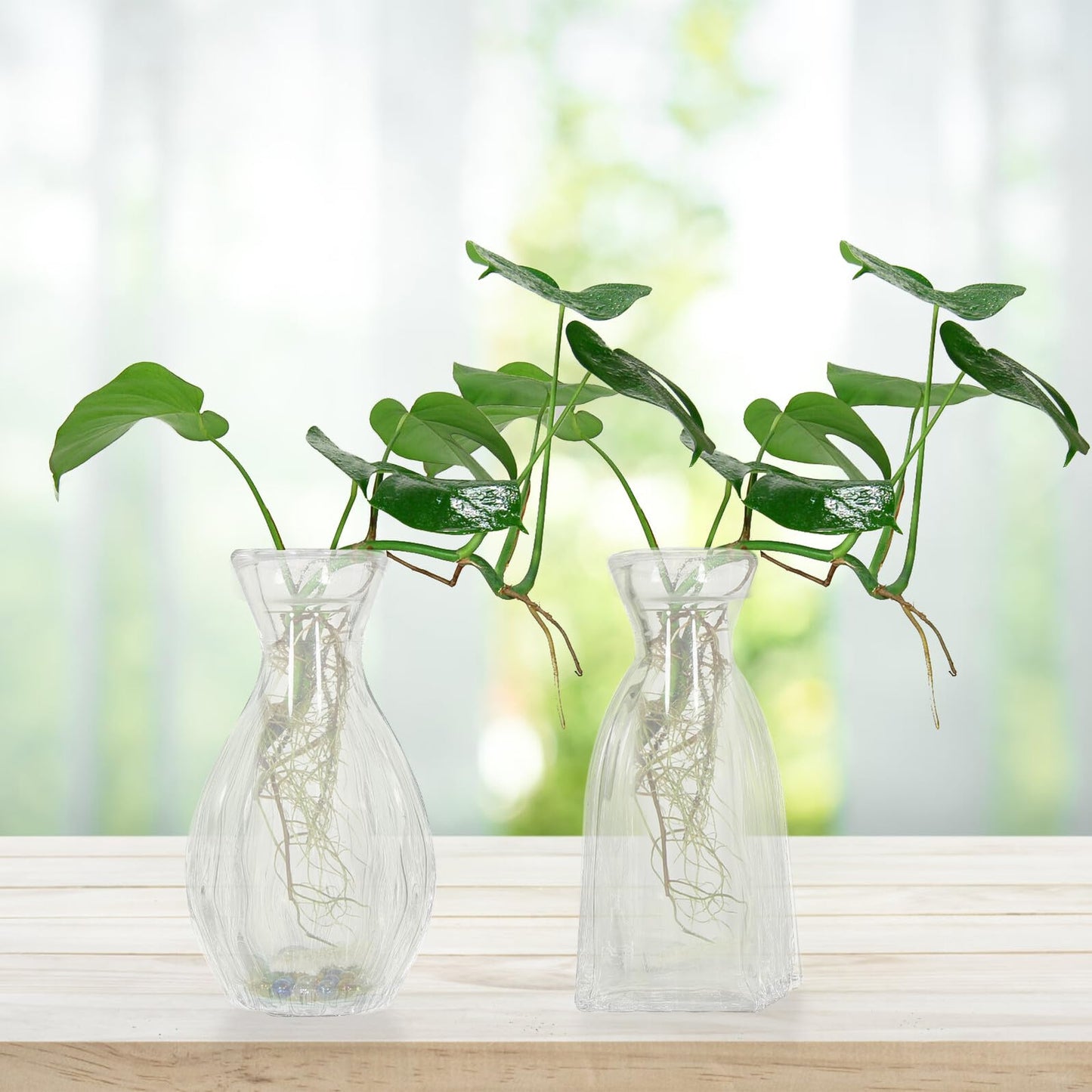 Zerodeko 4pcs Glass Hydroponic Flower Vases Small Desktop Indoor Glass Bud Vases for Home Decor and Terrarium Plant Arrangement