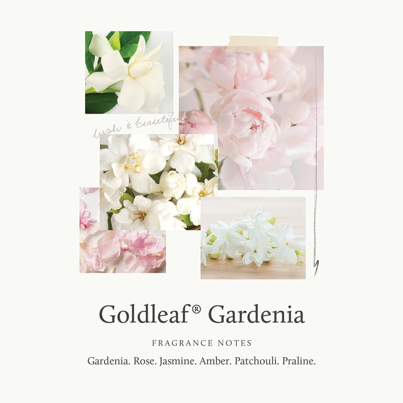 Thymes Goldleaf Gardenia Perfumed Body Crème - Moisturizing Body Cream - Shea Butter Body Lotion with Aloe Vera & Honey for Skin Care Routine - Body and Hand Lotion for Women & Men (9.25 fl oz)