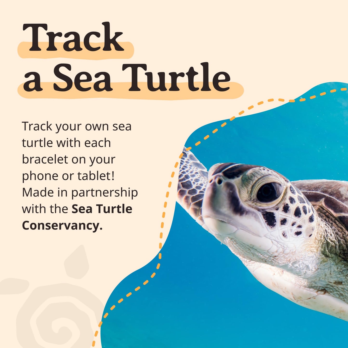Fahlo Sea Turtle Tracking Bracelet – Track a Real Sea Turtle’s Journey – Supports Wildlife Conservation – Elastic, One Size Fits Most – on Interactive Mobile App Map – Unisex Ocean Conservation Gift (Sky Stone)