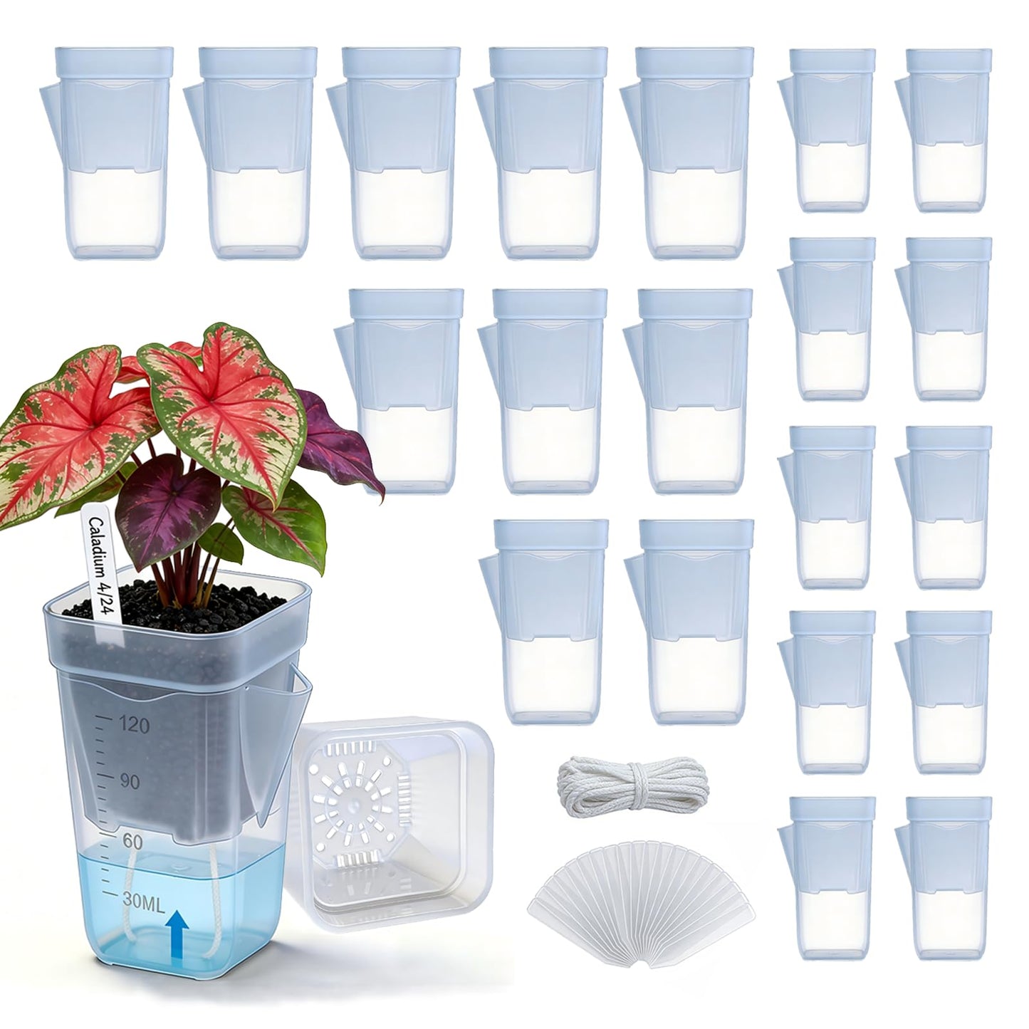 20 Pack 2/2.5 Inch Small Self Watering Pots for Indoor Plants, Mini Clear Plastic Nursery Pots with Water Level Indicator & Drainage Holes, for Seedling Propagation, Succulents, 20 Plant Labels