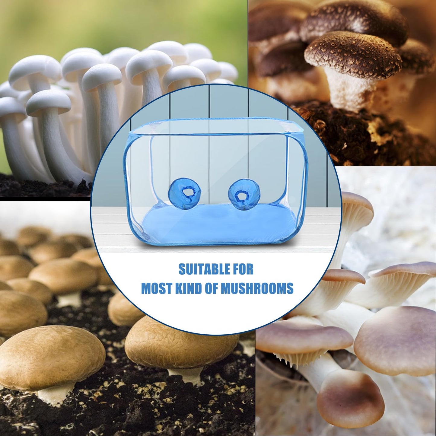 Still Air Box, Mushroom Grow Kit, Portable Compact Still Air Box Mycology for Mushroom Lovers, Mushroom Fruiting Chamber for Mycology Supplies/Home Scientists (35.5x23.5x23.5 inch) - Blue