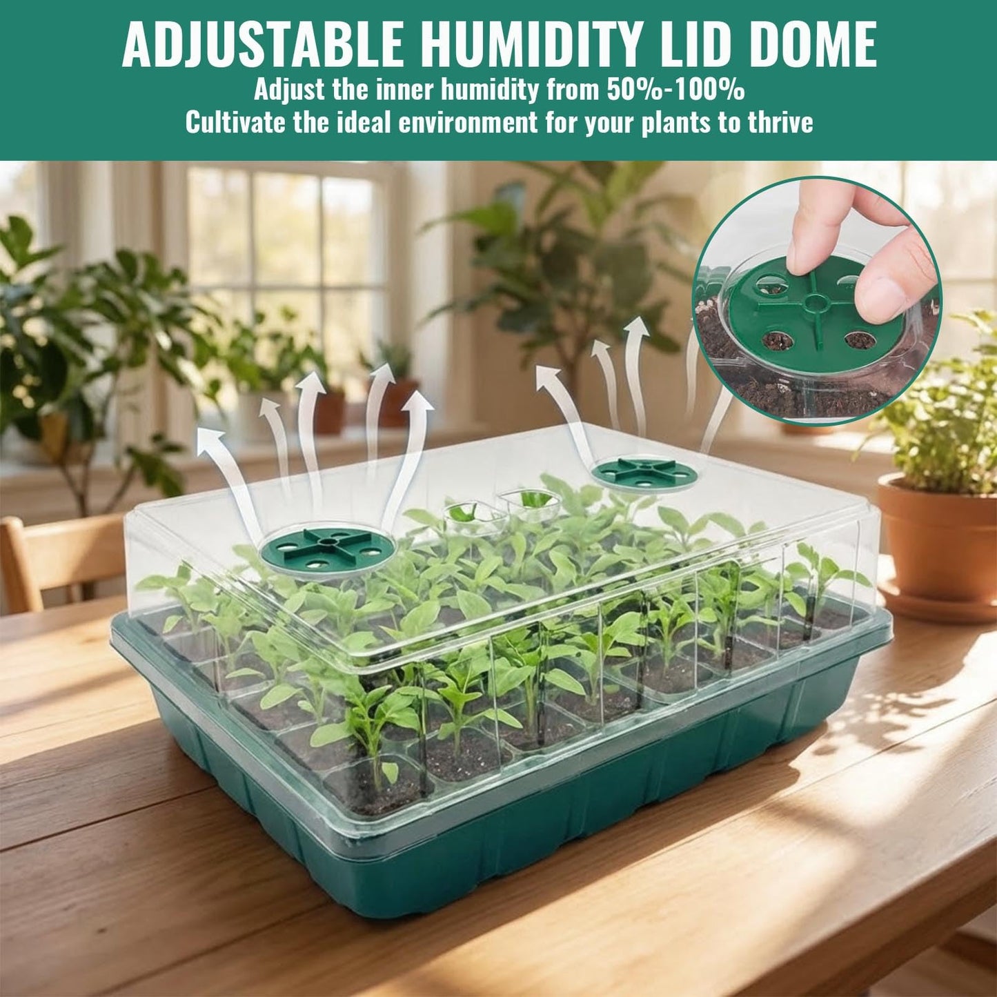 conwhzc 48-Cell Seed Starter Tray Kit with Grow Light, 2 Full-Spectrum LED Lights, 13cm Tall Humidity Dome, Thick PVC Seedling Trays, Labels & Tools, USB-C Power, Indoor Germination