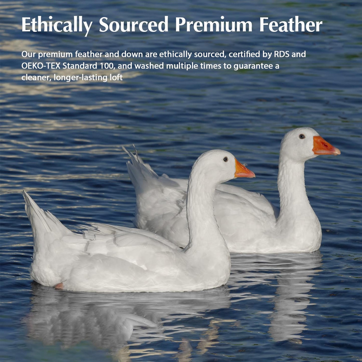 Pacific Coast Goose Feather Down Comforters King Size, 100% Cotton Extra Fluffy White Duvet Insert, Soft, Breathable, All Season Hotel Luxury Bedding Comforters, 8 Corner & Center Loops (106"x90")