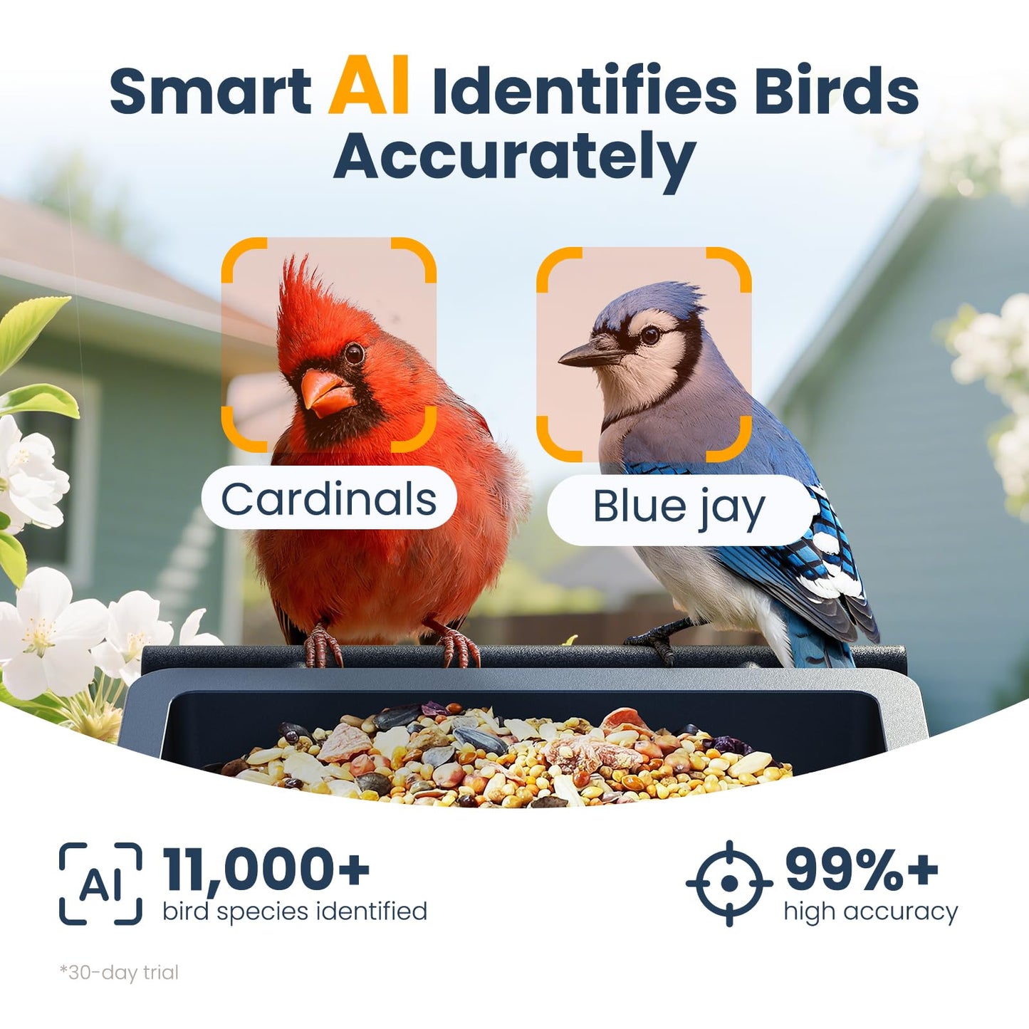Smart Metal Bird Feeder with Camera, 2.5K UHD AI Identification, Wireless Solar Powered Outdoor for Garden Birding, Real-time Videos& Pictures, Premium Present
