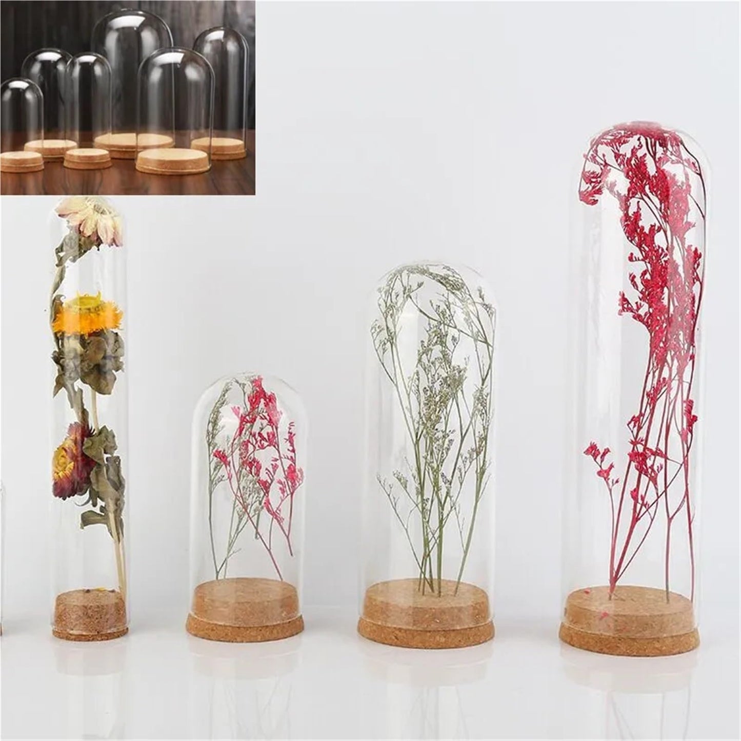 10X Da30mm Glass Bottle Terrarium Jar Cork Base Dome Dust Cover DIY Specimen Succulent Plant Micro Landscape Flower Vase Display(30x90cm)