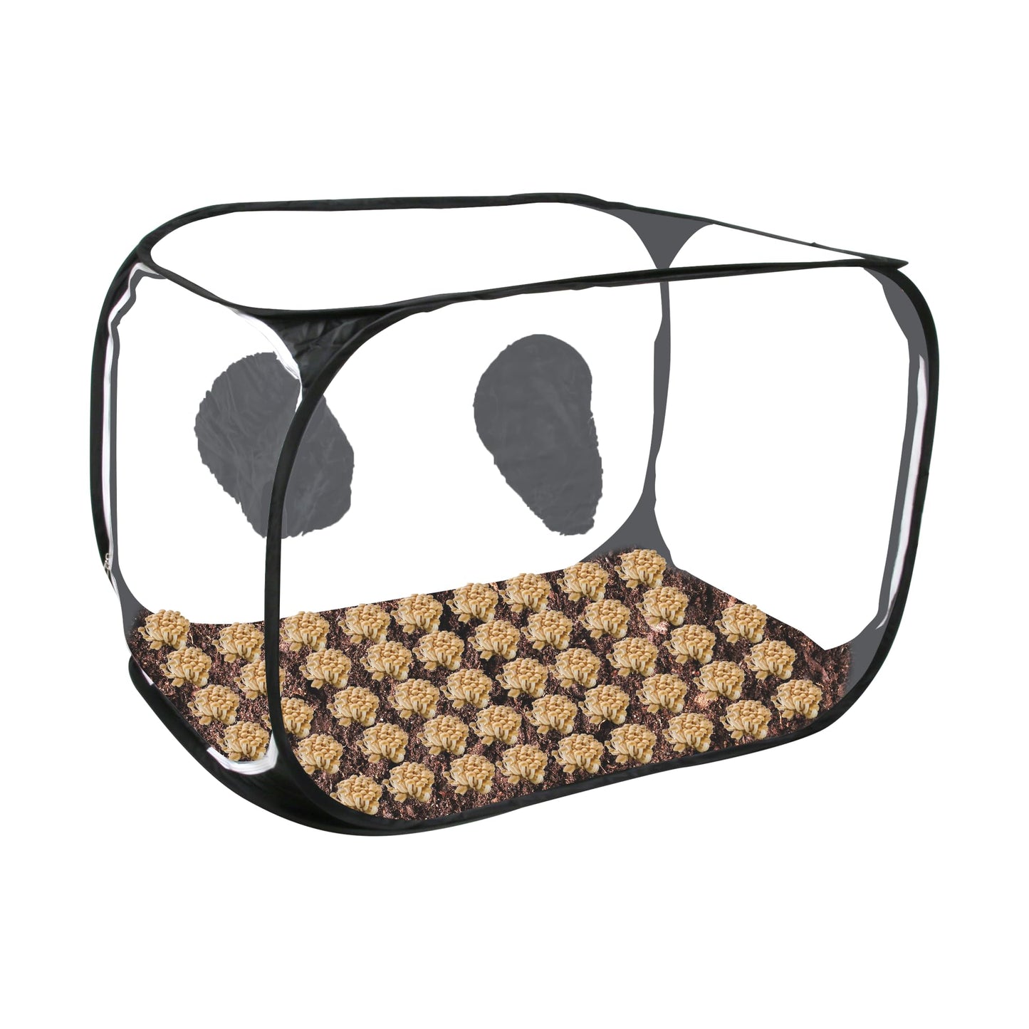 Toboom Portable Still Air Box Mycology with Pop Up Mushroom Growing Kit - Ideal for Mushroom Cultivation in Office and Mycology Enthusiasts (Black)