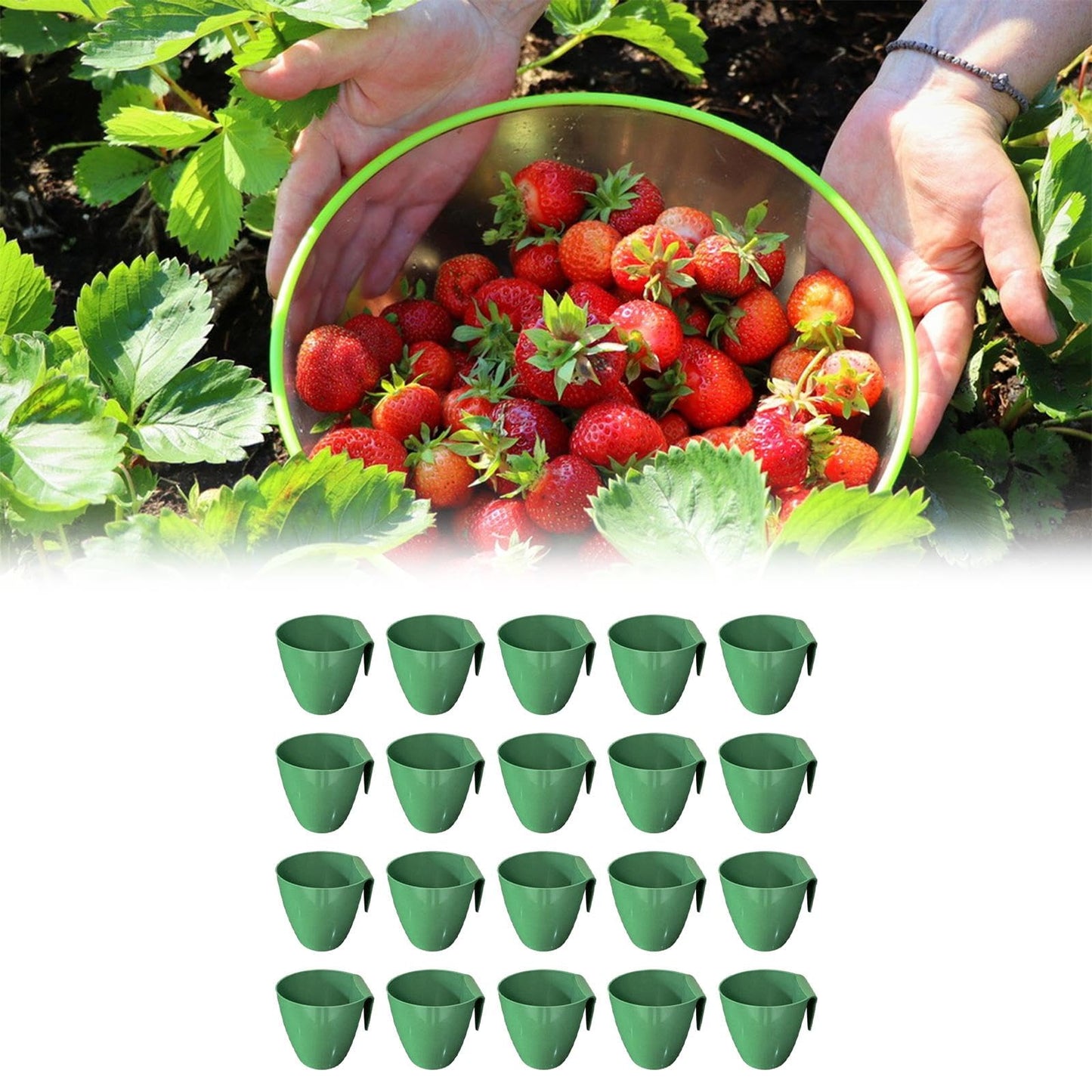 WeiLaiKeQi 20 Pieces Plant Propagation Cup Strawberry Roots Growing Propagate Plant Holder Nursery Pot Bare Root Strawberry Plants Cultivation Tools Lightweight, Size L