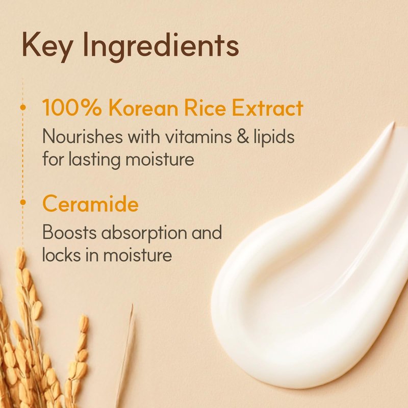 The Face Shop Rice Ceramide Cream, Hydrating Face Moisturizer, for Dry & Combination Skin, Lightweight, Fast-absorbing, 1.69 fl. oz.