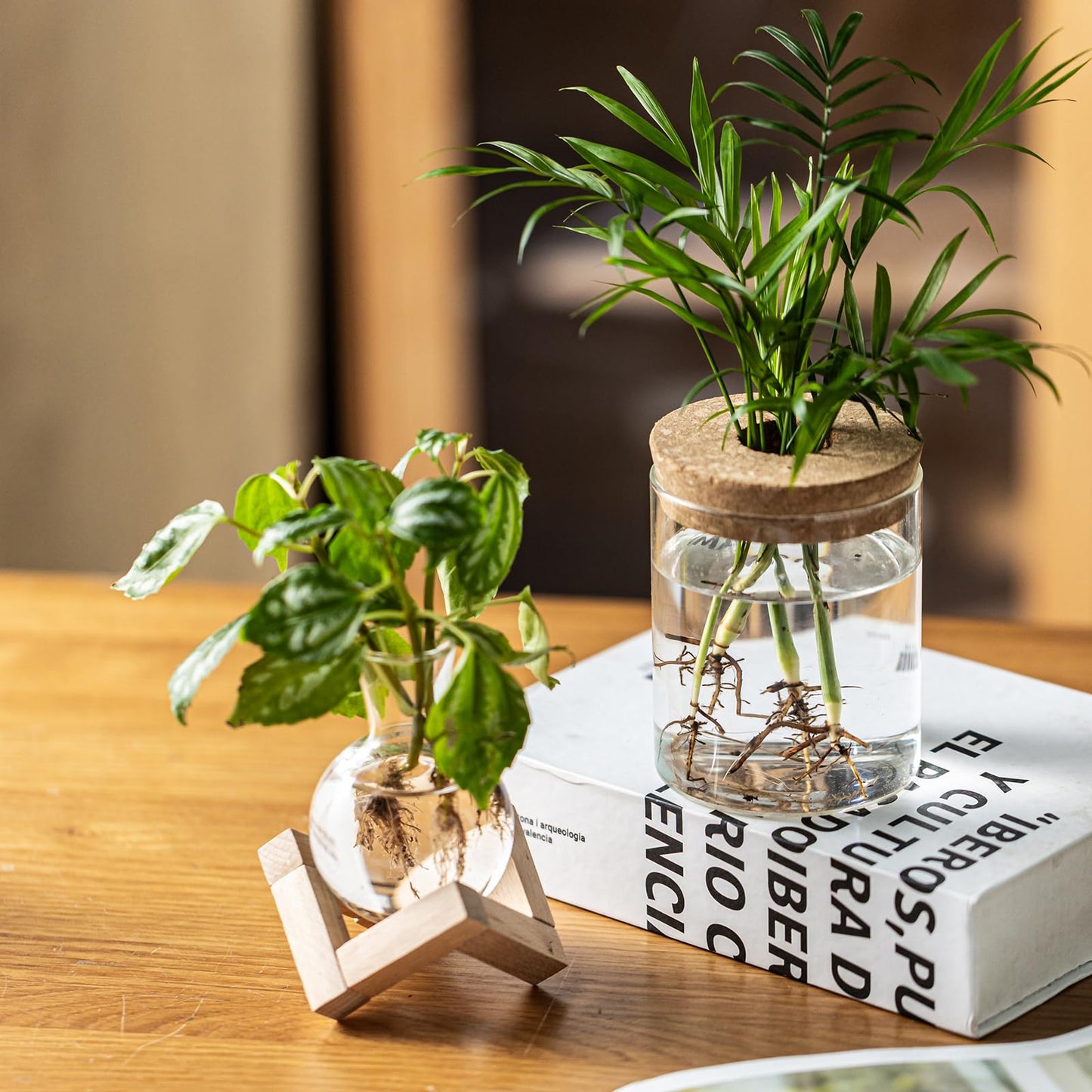 JGKYLDZ Plant Propagation Station, 2 Style Glass Planter Terrarium Set for Hydroponic Plants | Home Office Tabletop Decor, Gardening Gifts for Women, Mom, Plant Lovers (4)