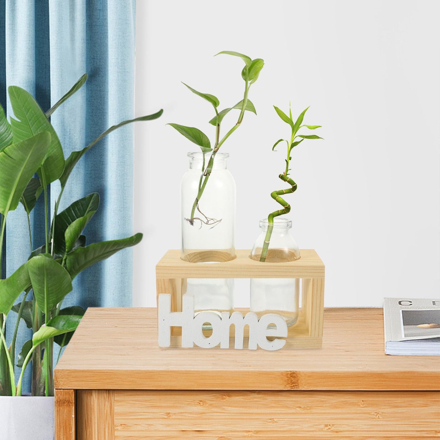 SUPVOX Nordic Style Glass Hydroponic Planter Vase with Wooden Stand, 2pcs Desktop Water Propagation Station for Home Plant Terrarium Decoration