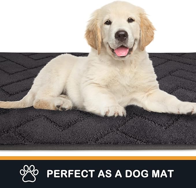 PURRUGS Dirt Trapping Door Mat 20" x 31.5", Non-Slip Machine Washable Entry Rug, Dog Doormat, Indoor Front Door Mat, Super Absorbent Entryway Rug for Muddy Shoes & Paws, Charcoal