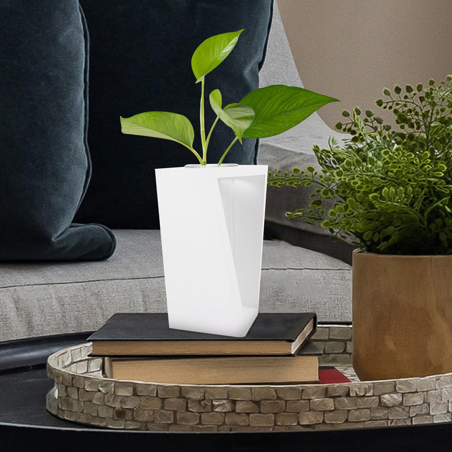 Beaupretty Wooden Frame Glass Vase Test Tubes Hydroponic Plant Propagation Station White Scandinavian Style Home Décor Desktop Terrarium for Indoor Gardening