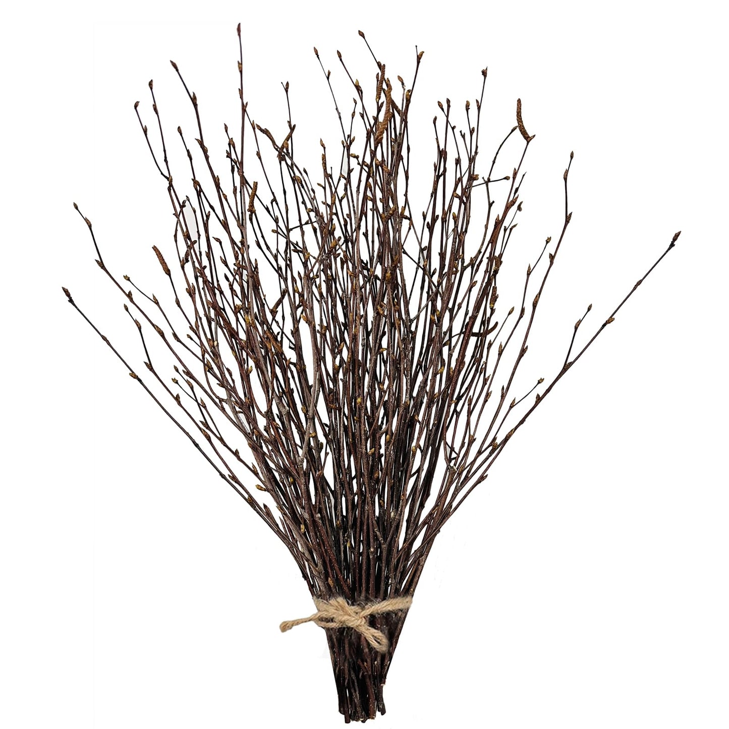 17 Inch Natural Birch Branches Dried Birch Twigs Wreath Making Supplies Dried Plants for Rustic Home Decor Easter Stems Vase Filler DIY Crafts Vases Tall Wreath Christmas Decoration Wedding (50Pcs)