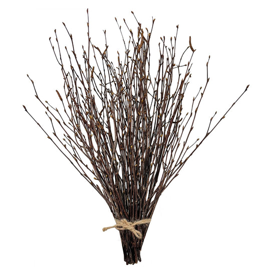 17 Inch Natural Birch Branches Dried Birch Twigs Wreath Making Supplies Dried Plants for Rustic Home Decor Easter Stems Vase Filler DIY Crafts Vases Tall Wreath Christmas Decoration Wedding (50Pcs)
