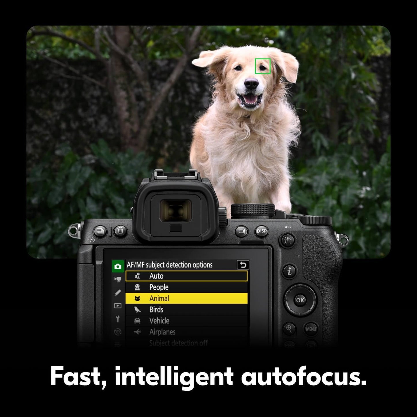 Nikon Z5II FX Full Frame Mirrorless Camera with NIKKOR Z 24-50mm Lens 2018 Bundle with Deco Gear Photography Kit| Pro-Level Photos & 4K Video | Advanced Hybrid AF, IBIS | USA Authorized Partner Model