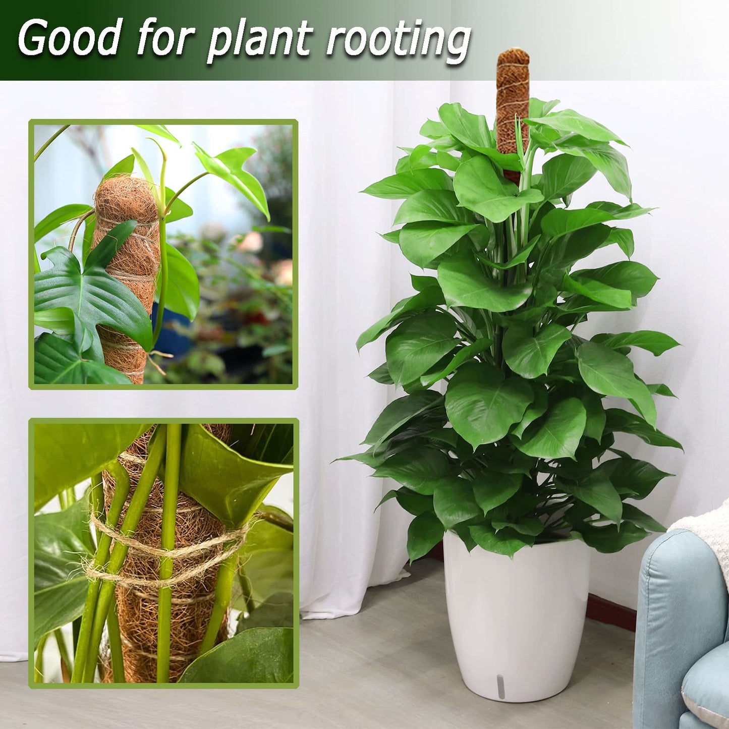 48 Inch Moss Pole, Bendable Moss Pole for Plants Monstera, Tall Moss Poles for Climbing Plants Indoor, Large Moss Pole Support, Garden Trellis Plant Stick Stakes for Potted Plants, Pothos